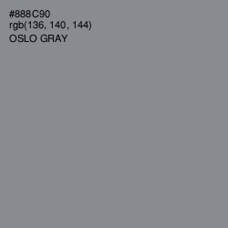#888C90 - Oslo Gray Color Image